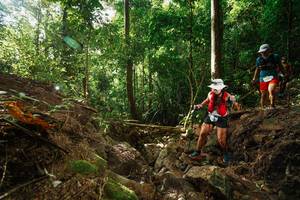 BIB: 
                            <button type="button" onclick="openModal(22409293)" class="btn btn-primary btn-sm float-right btn-popup" data-toggle="modal" data-target=".modal-high-quality">
                        <i class="fas fa-shopping-cart"></i> Add to Cart
                    </button>
                                            <button type="button" onclick="isThisMe(22409293, true)" class="btn btn-success btn-sm float-right btn-popup btn-isme hidden" data-toggle="tooltip" data-placement="bottom" title="นี่คือรูปของคุณใช่ไหม คลิกที่นี่เพื่อเอาเข้าอัลบั้ม">
                        <i class="fas fa-plus"></i> Add to album
                    </button>
                    <button type="button" onclick="isThisMe(22409293, false)" class="btn btn-warning btn-sm float-right btn-popup btn-isnotme hidden">
                        <i class="fas fa-ban"></i> Remove from album
                    </button>