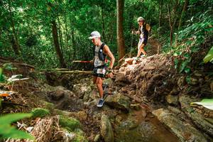 BIB: 
                            <button type="button" onclick="openModal(22438184)" class="btn btn-primary btn-sm float-right btn-popup" data-toggle="modal" data-target=".modal-high-quality">
                        <i class="fas fa-shopping-cart"></i> Add to Cart
                    </button>
                                            <button type="button" onclick="isThisMe(22438184, true)" class="btn btn-success btn-sm float-right btn-popup btn-isme hidden" data-toggle="tooltip" data-placement="bottom" title="นี่คือรูปของคุณใช่ไหม คลิกที่นี่เพื่อเอาเข้าอัลบั้ม">
                        <i class="fas fa-plus"></i> Add to album
                    </button>
                    <button type="button" onclick="isThisMe(22438184, false)" class="btn btn-warning btn-sm float-right btn-popup btn-isnotme hidden">
                        <i class="fas fa-ban"></i> Remove from album
                    </button>