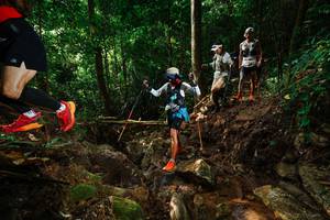 BIB: 
                            <button type="button" onclick="openModal(22416450)" class="btn btn-primary btn-sm float-right btn-popup" data-toggle="modal" data-target=".modal-high-quality">
                        <i class="fas fa-shopping-cart"></i> Add to Cart
                    </button>
                                            <button type="button" onclick="isThisMe(22416450, true)" class="btn btn-success btn-sm float-right btn-popup btn-isme hidden" data-toggle="tooltip" data-placement="bottom" title="นี่คือรูปของคุณใช่ไหม คลิกที่นี่เพื่อเอาเข้าอัลบั้ม">
                        <i class="fas fa-plus"></i> Add to album
                    </button>
                    <button type="button" onclick="isThisMe(22416450, false)" class="btn btn-warning btn-sm float-right btn-popup btn-isnotme hidden">
                        <i class="fas fa-ban"></i> Remove from album
                    </button>