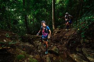 BIB: 
                            <button type="button" onclick="openModal(22415606)" class="btn btn-primary btn-sm float-right btn-popup" data-toggle="modal" data-target=".modal-high-quality">
                        <i class="fas fa-shopping-cart"></i> Add to Cart
                    </button>
                                            <button type="button" onclick="isThisMe(22415606, true)" class="btn btn-success btn-sm float-right btn-popup btn-isme hidden" data-toggle="tooltip" data-placement="bottom" title="นี่คือรูปของคุณใช่ไหม คลิกที่นี่เพื่อเอาเข้าอัลบั้ม">
                        <i class="fas fa-plus"></i> Add to album
                    </button>
                    <button type="button" onclick="isThisMe(22415606, false)" class="btn btn-warning btn-sm float-right btn-popup btn-isnotme hidden">
                        <i class="fas fa-ban"></i> Remove from album
                    </button>