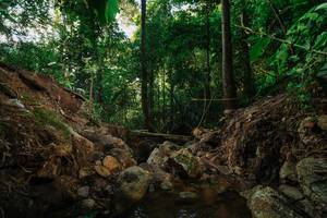 BIB: 
                            <button type="button" onclick="openModal(22393318)" class="btn btn-primary btn-sm float-right btn-popup" data-toggle="modal" data-target=".modal-high-quality">
                        <i class="fas fa-shopping-cart"></i> Add to Cart
                    </button>
                                            <button type="button" onclick="isThisMe(22393318, true)" class="btn btn-success btn-sm float-right btn-popup btn-isme hidden" data-toggle="tooltip" data-placement="bottom" title="นี่คือรูปของคุณใช่ไหม คลิกที่นี่เพื่อเอาเข้าอัลบั้ม">
                        <i class="fas fa-plus"></i> Add to album
                    </button>
                    <button type="button" onclick="isThisMe(22393318, false)" class="btn btn-warning btn-sm float-right btn-popup btn-isnotme hidden">
                        <i class="fas fa-ban"></i> Remove from album
                    </button>