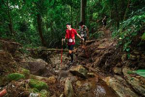 BIB: 
                            <button type="button" onclick="openModal(22443980)" class="btn btn-primary btn-sm float-right btn-popup" data-toggle="modal" data-target=".modal-high-quality">
                        <i class="fas fa-shopping-cart"></i> Add to Cart
                    </button>
                                            <button type="button" onclick="isThisMe(22443980, true)" class="btn btn-success btn-sm float-right btn-popup btn-isme hidden" data-toggle="tooltip" data-placement="bottom" title="นี่คือรูปของคุณใช่ไหม คลิกที่นี่เพื่อเอาเข้าอัลบั้ม">
                        <i class="fas fa-plus"></i> Add to album
                    </button>
                    <button type="button" onclick="isThisMe(22443980, false)" class="btn btn-warning btn-sm float-right btn-popup btn-isnotme hidden">
                        <i class="fas fa-ban"></i> Remove from album
                    </button>