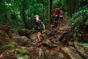 BIB: 
                            <button type="button" onclick="openModal(22443893)" class="btn btn-primary btn-sm float-right btn-popup" data-toggle="modal" data-target=".modal-high-quality">
                        <i class="fas fa-shopping-cart"></i> Add to Cart
                    </button>
                                            <button type="button" onclick="isThisMe(22443893, true)" class="btn btn-success btn-sm float-right btn-popup btn-isme hidden" data-toggle="tooltip" data-placement="bottom" title="นี่คือรูปของคุณใช่ไหม คลิกที่นี่เพื่อเอาเข้าอัลบั้ม">
                        <i class="fas fa-plus"></i> Add to album
                    </button>
                    <button type="button" onclick="isThisMe(22443893, false)" class="btn btn-warning btn-sm float-right btn-popup btn-isnotme hidden">
                        <i class="fas fa-ban"></i> Remove from album
                    </button>