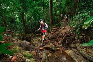 BIB: 
                            <button type="button" onclick="openModal(22440322)" class="btn btn-primary btn-sm float-right btn-popup" data-toggle="modal" data-target=".modal-high-quality">
                        <i class="fas fa-shopping-cart"></i> Add to Cart
                    </button>
                                            <button type="button" onclick="isThisMe(22440322, true)" class="btn btn-success btn-sm float-right btn-popup btn-isme hidden" data-toggle="tooltip" data-placement="bottom" title="นี่คือรูปของคุณใช่ไหม คลิกที่นี่เพื่อเอาเข้าอัลบั้ม">
                        <i class="fas fa-plus"></i> Add to album
                    </button>
                    <button type="button" onclick="isThisMe(22440322, false)" class="btn btn-warning btn-sm float-right btn-popup btn-isnotme hidden">
                        <i class="fas fa-ban"></i> Remove from album
                    </button>