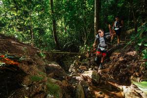 BIB: 
                            <button type="button" onclick="openModal(22403294)" class="btn btn-primary btn-sm float-right btn-popup" data-toggle="modal" data-target=".modal-high-quality">
                        <i class="fas fa-shopping-cart"></i> Add to Cart
                    </button>
                                            <button type="button" onclick="isThisMe(22403294, true)" class="btn btn-success btn-sm float-right btn-popup btn-isme hidden" data-toggle="tooltip" data-placement="bottom" title="นี่คือรูปของคุณใช่ไหม คลิกที่นี่เพื่อเอาเข้าอัลบั้ม">
                        <i class="fas fa-plus"></i> Add to album
                    </button>
                    <button type="button" onclick="isThisMe(22403294, false)" class="btn btn-warning btn-sm float-right btn-popup btn-isnotme hidden">
                        <i class="fas fa-ban"></i> Remove from album
                    </button>