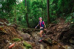 BIB: 
                            <button type="button" onclick="openModal(22577680)" class="btn btn-primary btn-sm float-right btn-popup" data-toggle="modal" data-target=".modal-high-quality">
                        <i class="fas fa-shopping-cart"></i> Add to Cart
                    </button>
                                            <button type="button" onclick="isThisMe(22577680, true)" class="btn btn-success btn-sm float-right btn-popup btn-isme hidden" data-toggle="tooltip" data-placement="bottom" title="นี่คือรูปของคุณใช่ไหม คลิกที่นี่เพื่อเอาเข้าอัลบั้ม">
                        <i class="fas fa-plus"></i> Add to album
                    </button>
                    <button type="button" onclick="isThisMe(22577680, false)" class="btn btn-warning btn-sm float-right btn-popup btn-isnotme hidden">
                        <i class="fas fa-ban"></i> Remove from album
                    </button>