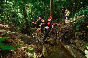 BIB: 
                            <button type="button" onclick="openModal(22420636)" class="btn btn-primary btn-sm float-right btn-popup" data-toggle="modal" data-target=".modal-high-quality">
                        <i class="fas fa-shopping-cart"></i> Add to Cart
                    </button>
                                            <button type="button" onclick="isThisMe(22420636, true)" class="btn btn-success btn-sm float-right btn-popup btn-isme hidden" data-toggle="tooltip" data-placement="bottom" title="นี่คือรูปของคุณใช่ไหม คลิกที่นี่เพื่อเอาเข้าอัลบั้ม">
                        <i class="fas fa-plus"></i> Add to album
                    </button>
                    <button type="button" onclick="isThisMe(22420636, false)" class="btn btn-warning btn-sm float-right btn-popup btn-isnotme hidden">
                        <i class="fas fa-ban"></i> Remove from album
                    </button>