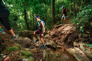 BIB: 
                            <button type="button" onclick="openModal(22444989)" class="btn btn-primary btn-sm float-right btn-popup" data-toggle="modal" data-target=".modal-high-quality">
                        <i class="fas fa-shopping-cart"></i> Add to Cart
                    </button>
                                            <button type="button" onclick="isThisMe(22444989, true)" class="btn btn-success btn-sm float-right btn-popup btn-isme hidden" data-toggle="tooltip" data-placement="bottom" title="นี่คือรูปของคุณใช่ไหม คลิกที่นี่เพื่อเอาเข้าอัลบั้ม">
                        <i class="fas fa-plus"></i> Add to album
                    </button>
                    <button type="button" onclick="isThisMe(22444989, false)" class="btn btn-warning btn-sm float-right btn-popup btn-isnotme hidden">
                        <i class="fas fa-ban"></i> Remove from album
                    </button>