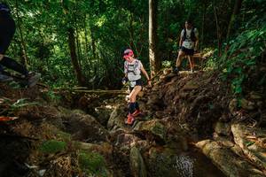 BIB: 
                            <button type="button" onclick="openModal(22410075)" class="btn btn-primary btn-sm float-right btn-popup" data-toggle="modal" data-target=".modal-high-quality">
                        <i class="fas fa-shopping-cart"></i> Add to Cart
                    </button>
                                            <button type="button" onclick="isThisMe(22410075, true)" class="btn btn-success btn-sm float-right btn-popup btn-isme hidden" data-toggle="tooltip" data-placement="bottom" title="นี่คือรูปของคุณใช่ไหม คลิกที่นี่เพื่อเอาเข้าอัลบั้ม">
                        <i class="fas fa-plus"></i> Add to album
                    </button>
                    <button type="button" onclick="isThisMe(22410075, false)" class="btn btn-warning btn-sm float-right btn-popup btn-isnotme hidden">
                        <i class="fas fa-ban"></i> Remove from album
                    </button>