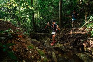 BIB: 
                            <button type="button" onclick="openModal(22394733)" class="btn btn-primary btn-sm float-right btn-popup" data-toggle="modal" data-target=".modal-high-quality">
                        <i class="fas fa-shopping-cart"></i> Add to Cart
                    </button>
                                            <button type="button" onclick="isThisMe(22394733, true)" class="btn btn-success btn-sm float-right btn-popup btn-isme hidden" data-toggle="tooltip" data-placement="bottom" title="นี่คือรูปของคุณใช่ไหม คลิกที่นี่เพื่อเอาเข้าอัลบั้ม">
                        <i class="fas fa-plus"></i> Add to album
                    </button>
                    <button type="button" onclick="isThisMe(22394733, false)" class="btn btn-warning btn-sm float-right btn-popup btn-isnotme hidden">
                        <i class="fas fa-ban"></i> Remove from album
                    </button>