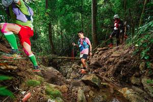 BIB: 
                            <button type="button" onclick="openModal(22441042)" class="btn btn-primary btn-sm float-right btn-popup" data-toggle="modal" data-target=".modal-high-quality">
                        <i class="fas fa-shopping-cart"></i> Add to Cart
                    </button>
                                            <button type="button" onclick="isThisMe(22441042, true)" class="btn btn-success btn-sm float-right btn-popup btn-isme hidden" data-toggle="tooltip" data-placement="bottom" title="นี่คือรูปของคุณใช่ไหม คลิกที่นี่เพื่อเอาเข้าอัลบั้ม">
                        <i class="fas fa-plus"></i> Add to album
                    </button>
                    <button type="button" onclick="isThisMe(22441042, false)" class="btn btn-warning btn-sm float-right btn-popup btn-isnotme hidden">
                        <i class="fas fa-ban"></i> Remove from album
                    </button>