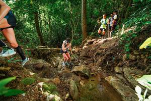 BIB: 
                            <button type="button" onclick="openModal(22421393)" class="btn btn-primary btn-sm float-right btn-popup" data-toggle="modal" data-target=".modal-high-quality">
                        <i class="fas fa-shopping-cart"></i> Add to Cart
                    </button>
                                            <button type="button" onclick="isThisMe(22421393, true)" class="btn btn-success btn-sm float-right btn-popup btn-isme hidden" data-toggle="tooltip" data-placement="bottom" title="นี่คือรูปของคุณใช่ไหม คลิกที่นี่เพื่อเอาเข้าอัลบั้ม">
                        <i class="fas fa-plus"></i> Add to album
                    </button>
                    <button type="button" onclick="isThisMe(22421393, false)" class="btn btn-warning btn-sm float-right btn-popup btn-isnotme hidden">
                        <i class="fas fa-ban"></i> Remove from album
                    </button>