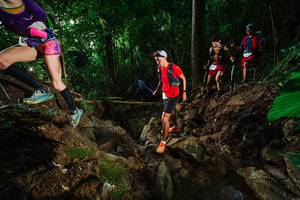 BIB: 
                            <button type="button" onclick="openModal(22402106)" class="btn btn-primary btn-sm float-right btn-popup" data-toggle="modal" data-target=".modal-high-quality">
                        <i class="fas fa-shopping-cart"></i> Add to Cart
                    </button>
                                            <button type="button" onclick="isThisMe(22402106, true)" class="btn btn-success btn-sm float-right btn-popup btn-isme hidden" data-toggle="tooltip" data-placement="bottom" title="นี่คือรูปของคุณใช่ไหม คลิกที่นี่เพื่อเอาเข้าอัลบั้ม">
                        <i class="fas fa-plus"></i> Add to album
                    </button>
                    <button type="button" onclick="isThisMe(22402106, false)" class="btn btn-warning btn-sm float-right btn-popup btn-isnotme hidden">
                        <i class="fas fa-ban"></i> Remove from album
                    </button>