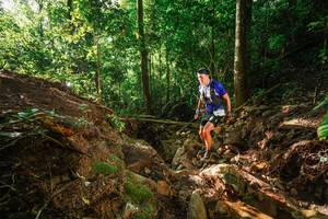 BIB: 
                            <button type="button" onclick="openModal(22400417)" class="btn btn-primary btn-sm float-right btn-popup" data-toggle="modal" data-target=".modal-high-quality">
                        <i class="fas fa-shopping-cart"></i> Add to Cart
                    </button>
                                            <button type="button" onclick="isThisMe(22400417, true)" class="btn btn-success btn-sm float-right btn-popup btn-isme hidden" data-toggle="tooltip" data-placement="bottom" title="นี่คือรูปของคุณใช่ไหม คลิกที่นี่เพื่อเอาเข้าอัลบั้ม">
                        <i class="fas fa-plus"></i> Add to album
                    </button>
                    <button type="button" onclick="isThisMe(22400417, false)" class="btn btn-warning btn-sm float-right btn-popup btn-isnotme hidden">
                        <i class="fas fa-ban"></i> Remove from album
                    </button>