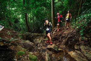 BIB: 
                            <button type="button" onclick="openModal(22417984)" class="btn btn-primary btn-sm float-right btn-popup" data-toggle="modal" data-target=".modal-high-quality">
                        <i class="fas fa-shopping-cart"></i> Add to Cart
                    </button>
                                            <button type="button" onclick="isThisMe(22417984, true)" class="btn btn-success btn-sm float-right btn-popup btn-isme hidden" data-toggle="tooltip" data-placement="bottom" title="นี่คือรูปของคุณใช่ไหม คลิกที่นี่เพื่อเอาเข้าอัลบั้ม">
                        <i class="fas fa-plus"></i> Add to album
                    </button>
                    <button type="button" onclick="isThisMe(22417984, false)" class="btn btn-warning btn-sm float-right btn-popup btn-isnotme hidden">
                        <i class="fas fa-ban"></i> Remove from album
                    </button>