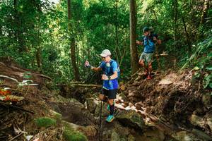 BIB: 
                            <button type="button" onclick="openModal(22441866)" class="btn btn-primary btn-sm float-right btn-popup" data-toggle="modal" data-target=".modal-high-quality">
                        <i class="fas fa-shopping-cart"></i> Add to Cart
                    </button>
                                            <button type="button" onclick="isThisMe(22441866, true)" class="btn btn-success btn-sm float-right btn-popup btn-isme hidden" data-toggle="tooltip" data-placement="bottom" title="นี่คือรูปของคุณใช่ไหม คลิกที่นี่เพื่อเอาเข้าอัลบั้ม">
                        <i class="fas fa-plus"></i> Add to album
                    </button>
                    <button type="button" onclick="isThisMe(22441866, false)" class="btn btn-warning btn-sm float-right btn-popup btn-isnotme hidden">
                        <i class="fas fa-ban"></i> Remove from album
                    </button>