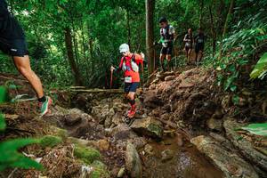 BIB: 
                            <button type="button" onclick="openModal(22438613)" class="btn btn-primary btn-sm float-right btn-popup" data-toggle="modal" data-target=".modal-high-quality">
                        <i class="fas fa-shopping-cart"></i> Add to Cart
                    </button>
                                            <button type="button" onclick="isThisMe(22438613, true)" class="btn btn-success btn-sm float-right btn-popup btn-isme hidden" data-toggle="tooltip" data-placement="bottom" title="นี่คือรูปของคุณใช่ไหม คลิกที่นี่เพื่อเอาเข้าอัลบั้ม">
                        <i class="fas fa-plus"></i> Add to album
                    </button>
                    <button type="button" onclick="isThisMe(22438613, false)" class="btn btn-warning btn-sm float-right btn-popup btn-isnotme hidden">
                        <i class="fas fa-ban"></i> Remove from album
                    </button>