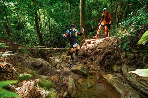 BIB: 
                            <button type="button" onclick="openModal(22421894)" class="btn btn-primary btn-sm float-right btn-popup" data-toggle="modal" data-target=".modal-high-quality">
                        <i class="fas fa-shopping-cart"></i> Add to Cart
                    </button>
                                            <button type="button" onclick="isThisMe(22421894, true)" class="btn btn-success btn-sm float-right btn-popup btn-isme hidden" data-toggle="tooltip" data-placement="bottom" title="นี่คือรูปของคุณใช่ไหม คลิกที่นี่เพื่อเอาเข้าอัลบั้ม">
                        <i class="fas fa-plus"></i> Add to album
                    </button>
                    <button type="button" onclick="isThisMe(22421894, false)" class="btn btn-warning btn-sm float-right btn-popup btn-isnotme hidden">
                        <i class="fas fa-ban"></i> Remove from album
                    </button>