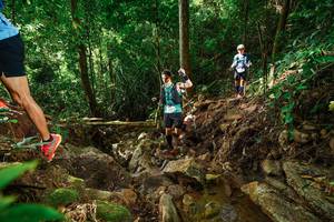 BIB: 
                            <button type="button" onclick="openModal(22419731)" class="btn btn-primary btn-sm float-right btn-popup" data-toggle="modal" data-target=".modal-high-quality">
                        <i class="fas fa-shopping-cart"></i> Add to Cart
                    </button>
                                            <button type="button" onclick="isThisMe(22419731, true)" class="btn btn-success btn-sm float-right btn-popup btn-isme hidden" data-toggle="tooltip" data-placement="bottom" title="นี่คือรูปของคุณใช่ไหม คลิกที่นี่เพื่อเอาเข้าอัลบั้ม">
                        <i class="fas fa-plus"></i> Add to album
                    </button>
                    <button type="button" onclick="isThisMe(22419731, false)" class="btn btn-warning btn-sm float-right btn-popup btn-isnotme hidden">
                        <i class="fas fa-ban"></i> Remove from album
                    </button>