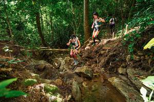 BIB: 
                            <button type="button" onclick="openModal(22421344)" class="btn btn-primary btn-sm float-right btn-popup" data-toggle="modal" data-target=".modal-high-quality">
                        <i class="fas fa-shopping-cart"></i> Add to Cart
                    </button>
                                            <button type="button" onclick="isThisMe(22421344, true)" class="btn btn-success btn-sm float-right btn-popup btn-isme hidden" data-toggle="tooltip" data-placement="bottom" title="นี่คือรูปของคุณใช่ไหม คลิกที่นี่เพื่อเอาเข้าอัลบั้ม">
                        <i class="fas fa-plus"></i> Add to album
                    </button>
                    <button type="button" onclick="isThisMe(22421344, false)" class="btn btn-warning btn-sm float-right btn-popup btn-isnotme hidden">
                        <i class="fas fa-ban"></i> Remove from album
                    </button>