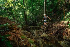 BIB: 
                            <button type="button" onclick="openModal(22394459)" class="btn btn-primary btn-sm float-right btn-popup" data-toggle="modal" data-target=".modal-high-quality">
                        <i class="fas fa-shopping-cart"></i> Add to Cart
                    </button>
                                            <button type="button" onclick="isThisMe(22394459, true)" class="btn btn-success btn-sm float-right btn-popup btn-isme hidden" data-toggle="tooltip" data-placement="bottom" title="นี่คือรูปของคุณใช่ไหม คลิกที่นี่เพื่อเอาเข้าอัลบั้ม">
                        <i class="fas fa-plus"></i> Add to album
                    </button>
                    <button type="button" onclick="isThisMe(22394459, false)" class="btn btn-warning btn-sm float-right btn-popup btn-isnotme hidden">
                        <i class="fas fa-ban"></i> Remove from album
                    </button>