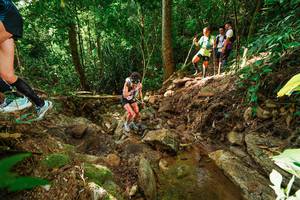 BIB: 
                            <button type="button" onclick="openModal(22421388)" class="btn btn-primary btn-sm float-right btn-popup" data-toggle="modal" data-target=".modal-high-quality">
                        <i class="fas fa-shopping-cart"></i> Add to Cart
                    </button>
                                            <button type="button" onclick="isThisMe(22421388, true)" class="btn btn-success btn-sm float-right btn-popup btn-isme hidden" data-toggle="tooltip" data-placement="bottom" title="นี่คือรูปของคุณใช่ไหม คลิกที่นี่เพื่อเอาเข้าอัลบั้ม">
                        <i class="fas fa-plus"></i> Add to album
                    </button>
                    <button type="button" onclick="isThisMe(22421388, false)" class="btn btn-warning btn-sm float-right btn-popup btn-isnotme hidden">
                        <i class="fas fa-ban"></i> Remove from album
                    </button>