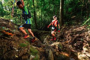 BIB: 
                            <button type="button" onclick="openModal(22395482)" class="btn btn-primary btn-sm float-right btn-popup" data-toggle="modal" data-target=".modal-high-quality">
                        <i class="fas fa-shopping-cart"></i> Add to Cart
                    </button>
                                            <button type="button" onclick="isThisMe(22395482, true)" class="btn btn-success btn-sm float-right btn-popup btn-isme hidden" data-toggle="tooltip" data-placement="bottom" title="นี่คือรูปของคุณใช่ไหม คลิกที่นี่เพื่อเอาเข้าอัลบั้ม">
                        <i class="fas fa-plus"></i> Add to album
                    </button>
                    <button type="button" onclick="isThisMe(22395482, false)" class="btn btn-warning btn-sm float-right btn-popup btn-isnotme hidden">
                        <i class="fas fa-ban"></i> Remove from album
                    </button>