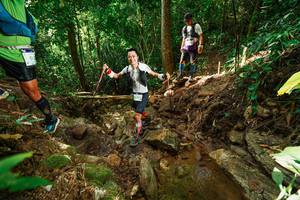 BIB: 
                            <button type="button" onclick="openModal(22421424)" class="btn btn-primary btn-sm float-right btn-popup" data-toggle="modal" data-target=".modal-high-quality">
                        <i class="fas fa-shopping-cart"></i> Add to Cart
                    </button>
                                            <button type="button" onclick="isThisMe(22421424, true)" class="btn btn-success btn-sm float-right btn-popup btn-isme hidden" data-toggle="tooltip" data-placement="bottom" title="นี่คือรูปของคุณใช่ไหม คลิกที่นี่เพื่อเอาเข้าอัลบั้ม">
                        <i class="fas fa-plus"></i> Add to album
                    </button>
                    <button type="button" onclick="isThisMe(22421424, false)" class="btn btn-warning btn-sm float-right btn-popup btn-isnotme hidden">
                        <i class="fas fa-ban"></i> Remove from album
                    </button>