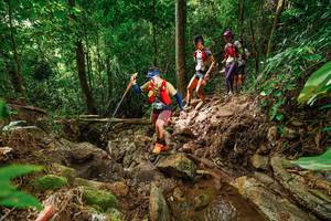 BIB: 
                            <button type="button" onclick="openModal(22439343)" class="btn btn-primary btn-sm float-right btn-popup" data-toggle="modal" data-target=".modal-high-quality">
                        <i class="fas fa-shopping-cart"></i> Add to Cart
                    </button>
                                            <button type="button" onclick="isThisMe(22439343, true)" class="btn btn-success btn-sm float-right btn-popup btn-isme hidden" data-toggle="tooltip" data-placement="bottom" title="นี่คือรูปของคุณใช่ไหม คลิกที่นี่เพื่อเอาเข้าอัลบั้ม">
                        <i class="fas fa-plus"></i> Add to album
                    </button>
                    <button type="button" onclick="isThisMe(22439343, false)" class="btn btn-warning btn-sm float-right btn-popup btn-isnotme hidden">
                        <i class="fas fa-ban"></i> Remove from album
                    </button>