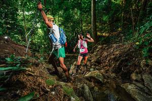 BIB: 
                            <button type="button" onclick="openModal(22393582)" class="btn btn-primary btn-sm float-right btn-popup" data-toggle="modal" data-target=".modal-high-quality">
                        <i class="fas fa-shopping-cart"></i> Add to Cart
                    </button>
                                            <button type="button" onclick="isThisMe(22393582, true)" class="btn btn-success btn-sm float-right btn-popup btn-isme hidden" data-toggle="tooltip" data-placement="bottom" title="นี่คือรูปของคุณใช่ไหม คลิกที่นี่เพื่อเอาเข้าอัลบั้ม">
                        <i class="fas fa-plus"></i> Add to album
                    </button>
                    <button type="button" onclick="isThisMe(22393582, false)" class="btn btn-warning btn-sm float-right btn-popup btn-isnotme hidden">
                        <i class="fas fa-ban"></i> Remove from album
                    </button>