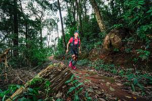 BIB: 
                            <button type="button" onclick="openModal(22679732)" class="btn btn-primary btn-sm float-right btn-popup" data-toggle="modal" data-target=".modal-high-quality">
                        <i class="fas fa-shopping-cart"></i> Add to Cart
                    </button>
                                            <button type="button" onclick="isThisMe(22679732, true)" class="btn btn-success btn-sm float-right btn-popup btn-isme hidden" data-toggle="tooltip" data-placement="bottom" title="นี่คือรูปของคุณใช่ไหม คลิกที่นี่เพื่อเอาเข้าอัลบั้ม">
                        <i class="fas fa-plus"></i> Add to album
                    </button>
                    <button type="button" onclick="isThisMe(22679732, false)" class="btn btn-warning btn-sm float-right btn-popup btn-isnotme hidden">
                        <i class="fas fa-ban"></i> Remove from album
                    </button>