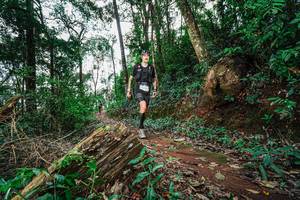 BIB: 
                            <button type="button" onclick="openModal(22679657)" class="btn btn-primary btn-sm float-right btn-popup" data-toggle="modal" data-target=".modal-high-quality">
                        <i class="fas fa-shopping-cart"></i> Add to Cart
                    </button>
                                            <button type="button" onclick="isThisMe(22679657, true)" class="btn btn-success btn-sm float-right btn-popup btn-isme hidden" data-toggle="tooltip" data-placement="bottom" title="นี่คือรูปของคุณใช่ไหม คลิกที่นี่เพื่อเอาเข้าอัลบั้ม">
                        <i class="fas fa-plus"></i> Add to album
                    </button>
                    <button type="button" onclick="isThisMe(22679657, false)" class="btn btn-warning btn-sm float-right btn-popup btn-isnotme hidden">
                        <i class="fas fa-ban"></i> Remove from album
                    </button>