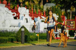 BIB: 
                            <button type="button" onclick="openModal(22770437)" class="btn btn-primary btn-sm float-right btn-popup" data-toggle="modal" data-target=".modal-high-quality">
                        <i class="fas fa-shopping-cart"></i> Add to Cart
                    </button>
                                            <button type="button" onclick="isThisMe(22770437, true)" class="btn btn-success btn-sm float-right btn-popup btn-isme hidden" data-toggle="tooltip" data-placement="bottom" title="นี่คือรูปของคุณใช่ไหม คลิกที่นี่เพื่อเอาเข้าอัลบั้ม">
                        <i class="fas fa-plus"></i> Add to album
                    </button>
                    <button type="button" onclick="isThisMe(22770437, false)" class="btn btn-warning btn-sm float-right btn-popup btn-isnotme hidden">
                        <i class="fas fa-ban"></i> Remove from album
                    </button>