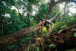 BIB: 
                            <button type="button" onclick="openModal(22777690)" class="btn btn-primary btn-sm float-right btn-popup" data-toggle="modal" data-target=".modal-high-quality">
                        <i class="fas fa-shopping-cart"></i> Add to Cart
                    </button>
                                            <button type="button" onclick="isThisMe(22777690, true)" class="btn btn-success btn-sm float-right btn-popup btn-isme hidden" data-toggle="tooltip" data-placement="bottom" title="นี่คือรูปของคุณใช่ไหม คลิกที่นี่เพื่อเอาเข้าอัลบั้ม">
                        <i class="fas fa-plus"></i> Add to album
                    </button>
                    <button type="button" onclick="isThisMe(22777690, false)" class="btn btn-warning btn-sm float-right btn-popup btn-isnotme hidden">
                        <i class="fas fa-ban"></i> Remove from album
                    </button>