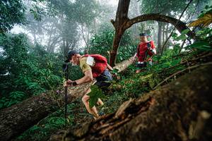 BIB: 
                            <button type="button" onclick="openModal(22778731)" class="btn btn-primary btn-sm float-right btn-popup" data-toggle="modal" data-target=".modal-high-quality">
                        <i class="fas fa-shopping-cart"></i> Add to Cart
                    </button>
                                            <button type="button" onclick="isThisMe(22778731, true)" class="btn btn-success btn-sm float-right btn-popup btn-isme hidden" data-toggle="tooltip" data-placement="bottom" title="นี่คือรูปของคุณใช่ไหม คลิกที่นี่เพื่อเอาเข้าอัลบั้ม">
                        <i class="fas fa-plus"></i> Add to album
                    </button>
                    <button type="button" onclick="isThisMe(22778731, false)" class="btn btn-warning btn-sm float-right btn-popup btn-isnotme hidden">
                        <i class="fas fa-ban"></i> Remove from album
                    </button>