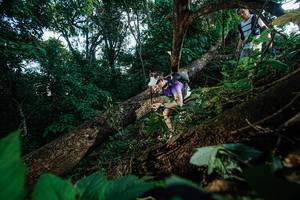 BIB: 
                            <button type="button" onclick="openModal(22777058)" class="btn btn-primary btn-sm float-right btn-popup" data-toggle="modal" data-target=".modal-high-quality">
                        <i class="fas fa-shopping-cart"></i> Add to Cart
                    </button>
                                            <button type="button" onclick="isThisMe(22777058, true)" class="btn btn-success btn-sm float-right btn-popup btn-isme hidden" data-toggle="tooltip" data-placement="bottom" title="นี่คือรูปของคุณใช่ไหม คลิกที่นี่เพื่อเอาเข้าอัลบั้ม">
                        <i class="fas fa-plus"></i> Add to album
                    </button>
                    <button type="button" onclick="isThisMe(22777058, false)" class="btn btn-warning btn-sm float-right btn-popup btn-isnotme hidden">
                        <i class="fas fa-ban"></i> Remove from album
                    </button>