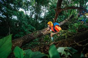 BIB: 
                            <button type="button" onclick="openModal(22777206)" class="btn btn-primary btn-sm float-right btn-popup" data-toggle="modal" data-target=".modal-high-quality">
                        <i class="fas fa-shopping-cart"></i> Add to Cart
                    </button>
                                            <button type="button" onclick="isThisMe(22777206, true)" class="btn btn-success btn-sm float-right btn-popup btn-isme hidden" data-toggle="tooltip" data-placement="bottom" title="นี่คือรูปของคุณใช่ไหม คลิกที่นี่เพื่อเอาเข้าอัลบั้ม">
                        <i class="fas fa-plus"></i> Add to album
                    </button>
                    <button type="button" onclick="isThisMe(22777206, false)" class="btn btn-warning btn-sm float-right btn-popup btn-isnotme hidden">
                        <i class="fas fa-ban"></i> Remove from album
                    </button>