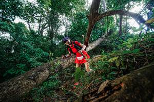 BIB: 2621
                            <button type="button" onclick="openModal(22778304)" class="btn btn-primary btn-sm float-right btn-popup" data-toggle="modal" data-target=".modal-high-quality">
                        <i class="fas fa-shopping-cart"></i> Add to Cart
                    </button>
                                            <button type="button" onclick="isThisMe(22778304, true)" class="btn btn-success btn-sm float-right btn-popup btn-isme hidden" data-toggle="tooltip" data-placement="bottom" title="นี่คือรูปของคุณใช่ไหม คลิกที่นี่เพื่อเอาเข้าอัลบั้ม">
                        <i class="fas fa-plus"></i> Add to album
                    </button>
                    <button type="button" onclick="isThisMe(22778304, false)" class="btn btn-warning btn-sm float-right btn-popup btn-isnotme hidden">
                        <i class="fas fa-ban"></i> Remove from album
                    </button>