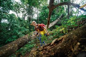 BIB: 
                            <button type="button" onclick="openModal(22778327)" class="btn btn-primary btn-sm float-right btn-popup" data-toggle="modal" data-target=".modal-high-quality">
                        <i class="fas fa-shopping-cart"></i> Add to Cart
                    </button>
                                            <button type="button" onclick="isThisMe(22778327, true)" class="btn btn-success btn-sm float-right btn-popup btn-isme hidden" data-toggle="tooltip" data-placement="bottom" title="นี่คือรูปของคุณใช่ไหม คลิกที่นี่เพื่อเอาเข้าอัลบั้ม">
                        <i class="fas fa-plus"></i> Add to album
                    </button>
                    <button type="button" onclick="isThisMe(22778327, false)" class="btn btn-warning btn-sm float-right btn-popup btn-isnotme hidden">
                        <i class="fas fa-ban"></i> Remove from album
                    </button>