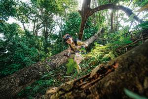 BIB: 
                            <button type="button" onclick="openModal(22778100)" class="btn btn-primary btn-sm float-right btn-popup" data-toggle="modal" data-target=".modal-high-quality">
                        <i class="fas fa-shopping-cart"></i> Add to Cart
                    </button>
                                            <button type="button" onclick="isThisMe(22778100, true)" class="btn btn-success btn-sm float-right btn-popup btn-isme hidden" data-toggle="tooltip" data-placement="bottom" title="นี่คือรูปของคุณใช่ไหม คลิกที่นี่เพื่อเอาเข้าอัลบั้ม">
                        <i class="fas fa-plus"></i> Add to album
                    </button>
                    <button type="button" onclick="isThisMe(22778100, false)" class="btn btn-warning btn-sm float-right btn-popup btn-isnotme hidden">
                        <i class="fas fa-ban"></i> Remove from album
                    </button>