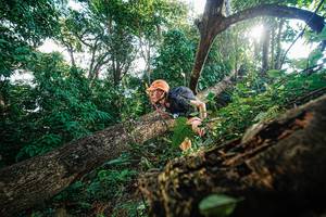 BIB: 
                            <button type="button" onclick="openModal(22777795)" class="btn btn-primary btn-sm float-right btn-popup" data-toggle="modal" data-target=".modal-high-quality">
                        <i class="fas fa-shopping-cart"></i> Add to Cart
                    </button>
                                            <button type="button" onclick="isThisMe(22777795, true)" class="btn btn-success btn-sm float-right btn-popup btn-isme hidden" data-toggle="tooltip" data-placement="bottom" title="นี่คือรูปของคุณใช่ไหม คลิกที่นี่เพื่อเอาเข้าอัลบั้ม">
                        <i class="fas fa-plus"></i> Add to album
                    </button>
                    <button type="button" onclick="isThisMe(22777795, false)" class="btn btn-warning btn-sm float-right btn-popup btn-isnotme hidden">
                        <i class="fas fa-ban"></i> Remove from album
                    </button>