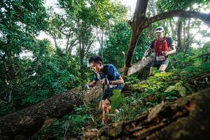 BIB: 
                            <button type="button" onclick="openModal(22778105)" class="btn btn-primary btn-sm float-right btn-popup" data-toggle="modal" data-target=".modal-high-quality">
                        <i class="fas fa-shopping-cart"></i> Add to Cart
                    </button>
                                            <button type="button" onclick="isThisMe(22778105, true)" class="btn btn-success btn-sm float-right btn-popup btn-isme hidden" data-toggle="tooltip" data-placement="bottom" title="นี่คือรูปของคุณใช่ไหม คลิกที่นี่เพื่อเอาเข้าอัลบั้ม">
                        <i class="fas fa-plus"></i> Add to album
                    </button>
                    <button type="button" onclick="isThisMe(22778105, false)" class="btn btn-warning btn-sm float-right btn-popup btn-isnotme hidden">
                        <i class="fas fa-ban"></i> Remove from album
                    </button>