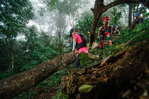 BIB: 
                            <button type="button" onclick="openModal(22778974)" class="btn btn-primary btn-sm float-right btn-popup" data-toggle="modal" data-target=".modal-high-quality">
                        <i class="fas fa-shopping-cart"></i> Add to Cart
                    </button>
                                            <button type="button" onclick="isThisMe(22778974, true)" class="btn btn-success btn-sm float-right btn-popup btn-isme hidden" data-toggle="tooltip" data-placement="bottom" title="นี่คือรูปของคุณใช่ไหม คลิกที่นี่เพื่อเอาเข้าอัลบั้ม">
                        <i class="fas fa-plus"></i> Add to album
                    </button>
                    <button type="button" onclick="isThisMe(22778974, false)" class="btn btn-warning btn-sm float-right btn-popup btn-isnotme hidden">
                        <i class="fas fa-ban"></i> Remove from album
                    </button>