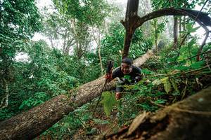 BIB: 
                            <button type="button" onclick="openModal(22779241)" class="btn btn-primary btn-sm float-right btn-popup" data-toggle="modal" data-target=".modal-high-quality">
                        <i class="fas fa-shopping-cart"></i> Add to Cart
                    </button>
                                            <button type="button" onclick="isThisMe(22779241, true)" class="btn btn-success btn-sm float-right btn-popup btn-isme hidden" data-toggle="tooltip" data-placement="bottom" title="นี่คือรูปของคุณใช่ไหม คลิกที่นี่เพื่อเอาเข้าอัลบั้ม">
                        <i class="fas fa-plus"></i> Add to album
                    </button>
                    <button type="button" onclick="isThisMe(22779241, false)" class="btn btn-warning btn-sm float-right btn-popup btn-isnotme hidden">
                        <i class="fas fa-ban"></i> Remove from album
                    </button>