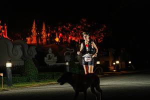 BIB: 
                            <button type="button" onclick="openModal(22781173)" class="btn btn-primary btn-sm float-right btn-popup" data-toggle="modal" data-target=".modal-high-quality">
                        <i class="fas fa-shopping-cart"></i> Add to Cart
                    </button>
                                            <button type="button" onclick="isThisMe(22781173, true)" class="btn btn-success btn-sm float-right btn-popup btn-isme hidden" data-toggle="tooltip" data-placement="bottom" title="นี่คือรูปของคุณใช่ไหม คลิกที่นี่เพื่อเอาเข้าอัลบั้ม">
                        <i class="fas fa-plus"></i> Add to album
                    </button>
                    <button type="button" onclick="isThisMe(22781173, false)" class="btn btn-warning btn-sm float-right btn-popup btn-isnotme hidden">
                        <i class="fas fa-ban"></i> Remove from album
                    </button>