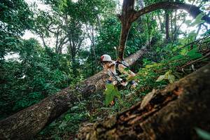 BIB: 
                            <button type="button" onclick="openModal(22778139)" class="btn btn-primary btn-sm float-right btn-popup" data-toggle="modal" data-target=".modal-high-quality">
                        <i class="fas fa-shopping-cart"></i> Add to Cart
                    </button>
                                            <button type="button" onclick="isThisMe(22778139, true)" class="btn btn-success btn-sm float-right btn-popup btn-isme hidden" data-toggle="tooltip" data-placement="bottom" title="นี่คือรูปของคุณใช่ไหม คลิกที่นี่เพื่อเอาเข้าอัลบั้ม">
                        <i class="fas fa-plus"></i> Add to album
                    </button>
                    <button type="button" onclick="isThisMe(22778139, false)" class="btn btn-warning btn-sm float-right btn-popup btn-isnotme hidden">
                        <i class="fas fa-ban"></i> Remove from album
                    </button>