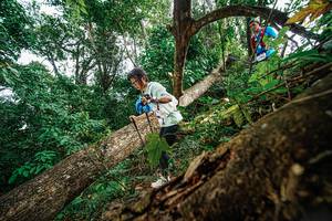 BIB: 
                            <button type="button" onclick="openModal(22778669)" class="btn btn-primary btn-sm float-right btn-popup" data-toggle="modal" data-target=".modal-high-quality">
                        <i class="fas fa-shopping-cart"></i> Add to Cart
                    </button>
                                            <button type="button" onclick="isThisMe(22778669, true)" class="btn btn-success btn-sm float-right btn-popup btn-isme hidden" data-toggle="tooltip" data-placement="bottom" title="นี่คือรูปของคุณใช่ไหม คลิกที่นี่เพื่อเอาเข้าอัลบั้ม">
                        <i class="fas fa-plus"></i> Add to album
                    </button>
                    <button type="button" onclick="isThisMe(22778669, false)" class="btn btn-warning btn-sm float-right btn-popup btn-isnotme hidden">
                        <i class="fas fa-ban"></i> Remove from album
                    </button>