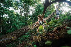 BIB: 
                            <button type="button" onclick="openModal(22777695)" class="btn btn-primary btn-sm float-right btn-popup" data-toggle="modal" data-target=".modal-high-quality">
                        <i class="fas fa-shopping-cart"></i> Add to Cart
                    </button>
                                            <button type="button" onclick="isThisMe(22777695, true)" class="btn btn-success btn-sm float-right btn-popup btn-isme hidden" data-toggle="tooltip" data-placement="bottom" title="นี่คือรูปของคุณใช่ไหม คลิกที่นี่เพื่อเอาเข้าอัลบั้ม">
                        <i class="fas fa-plus"></i> Add to album
                    </button>
                    <button type="button" onclick="isThisMe(22777695, false)" class="btn btn-warning btn-sm float-right btn-popup btn-isnotme hidden">
                        <i class="fas fa-ban"></i> Remove from album
                    </button>