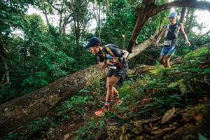 BIB: 1102
                            <button type="button" onclick="openModal(22777621)" class="btn btn-primary btn-sm float-right btn-popup" data-toggle="modal" data-target=".modal-high-quality">
                        <i class="fas fa-shopping-cart"></i> Add to Cart
                    </button>
                                            <button type="button" onclick="isThisMe(22777621, true)" class="btn btn-success btn-sm float-right btn-popup btn-isme hidden" data-toggle="tooltip" data-placement="bottom" title="นี่คือรูปของคุณใช่ไหม คลิกที่นี่เพื่อเอาเข้าอัลบั้ม">
                        <i class="fas fa-plus"></i> Add to album
                    </button>
                    <button type="button" onclick="isThisMe(22777621, false)" class="btn btn-warning btn-sm float-right btn-popup btn-isnotme hidden">
                        <i class="fas fa-ban"></i> Remove from album
                    </button>