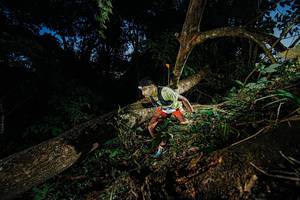 BIB: 
                            <button type="button" onclick="openModal(22774459)" class="btn btn-primary btn-sm float-right btn-popup" data-toggle="modal" data-target=".modal-high-quality">
                        <i class="fas fa-shopping-cart"></i> Add to Cart
                    </button>
                                            <button type="button" onclick="isThisMe(22774459, true)" class="btn btn-success btn-sm float-right btn-popup btn-isme hidden" data-toggle="tooltip" data-placement="bottom" title="นี่คือรูปของคุณใช่ไหม คลิกที่นี่เพื่อเอาเข้าอัลบั้ม">
                        <i class="fas fa-plus"></i> Add to album
                    </button>
                    <button type="button" onclick="isThisMe(22774459, false)" class="btn btn-warning btn-sm float-right btn-popup btn-isnotme hidden">
                        <i class="fas fa-ban"></i> Remove from album
                    </button>